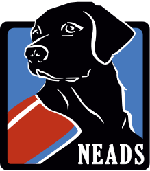 Neads logo